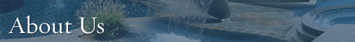 about us header
