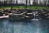 Boulder waterfall next to a spa spilling into a pool.