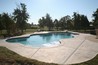 A free form pool with a diving board and salt finished concrete.